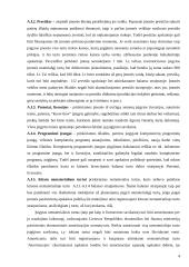 Ilgalaikio materialaus ir nematerialaus turto apskaita 4 puslapis