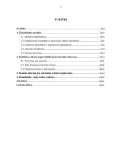 Žiniasklaidos poveikis 2 puslapis