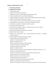 Ilgalaikio turto apskaita įmonėje: UAB "Bentlis" 2 puslapis