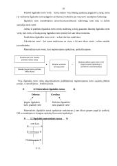 Ilgalaikio turto apskaita įmonėje: UAB "Bentlis" 11 puslapis