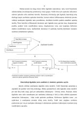 Ilgalaikio turto apskaita įmonėje: UAB "Bentlis" 12 puslapis