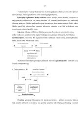 Ilgalaikio turto apskaita įmonėje: UAB "Bentlis" 18 puslapis