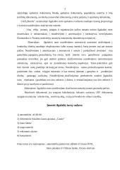 Ilgalaikio turto apskaita įmonėje: UAB "Bentlis" 4 puslapis