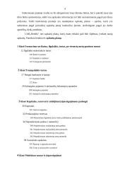 Ilgalaikio turto apskaita įmonėje: UAB "Bentlis" 5 puslapis