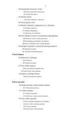 Ilgalaikio turto apskaita įmonėje: UAB "Bentlis" 6 puslapis