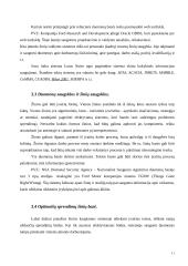 Žinių valdymas ir korporacinė atmintis 11 puslapis