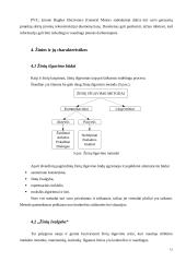 Žinių valdymas ir korporacinė atmintis 12 puslapis