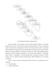 Žinių valdymas ir korporacinė atmintis 7 puslapis