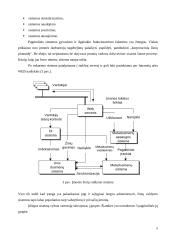 Žinių valdymas ir korporacinė atmintis 8 puslapis