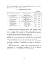 Įmonės analizė: švietuvų gamyba ir pakavimas UAB "Artilux Baltija" 17 puslapis
