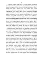 Įmonės ekonominis efektyvumas 11 puslapis