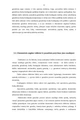Įmonės ekonominis efektyvumas 12 puslapis