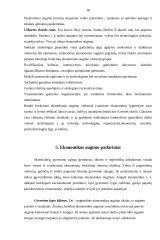 Įmonės ekonominis efektyvumas 18 puslapis