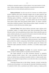 Įmonės ekonominis efektyvumas 19 puslapis