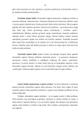 Įmonės ekonominis efektyvumas 20 puslapis