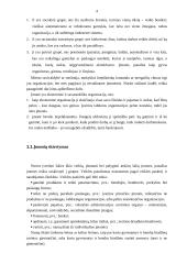Įmonės ekonominis efektyvumas 4 puslapis