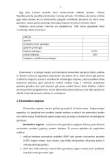 Įmonės ekonominis efektyvumas 5 puslapis