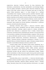 Įmonės ekonominis efektyvumas 9 puslapis