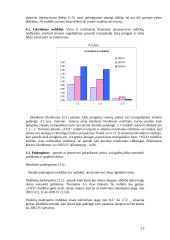 Įmonės finansinės veiklos analizė 13 puslapis