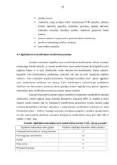 Įmonės sąnaudos: UAB "Baldų Rojus" 20 puslapis