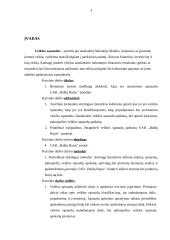 Įmonės sąnaudos: UAB "Baldų Rojus" 3 puslapis