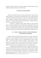 Įmonės sąnaudos: UAB "Baldų Rojus" 7 puslapis