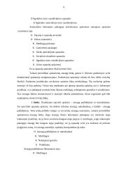 Įmonės sąnaudos: UAB "Baldų Rojus" 9 puslapis