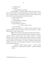 Įmonės sąnaudos: UAB "Baldų Rojus" 10 puslapis