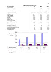 Įmonės strateginis finansų valdymas: AB "Panevėžio pienas" 13 puslapis