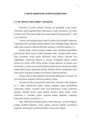 Įmonės veiklos analizė: AB "Elektros tinklų statyba" 7 puslapis