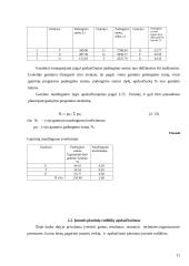 Įmonės veiklos planavimas bei metiniai skaičiavimai 11 puslapis