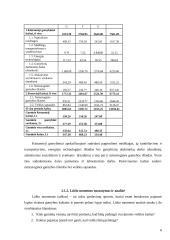 Įmonės veiklos planavimas bei metiniai skaičiavimai 6 puslapis