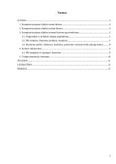 Įmonės, parduodančios kompiuterius bei jų priedus, duomenų bazė 2 puslapis