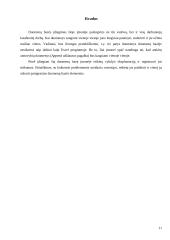 Įmonės, parduodančios kompiuterius bei jų priedus, duomenų bazė 11 puslapis