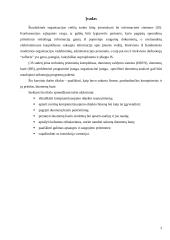 Įmonės, parduodančios kompiuterius bei jų priedus, duomenų bazė 3 puslapis