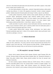 Įmonės, parduodančios kompiuterius bei jų priedus, duomenų bazė 9 puslapis