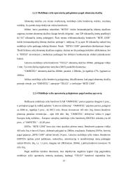 Mobiliojo ryšio paslaugų pasirinkimo analizė 13 puslapis