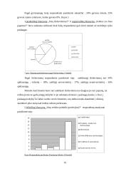 Mobiliojo ryšio paslaugų pasirinkimo analizė 19 puslapis