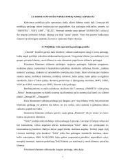 Mobiliojo ryšio paslaugų pasirinkimo analizė 7 puslapis