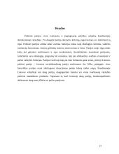 Politinių partijų ypatybės 13 puslapis