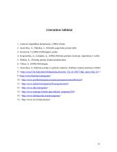 Politinių partijų ypatybės 14 puslapis