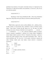 Indų klasikinės muzikos ištakos ir raidos bruožai 17 puslapis