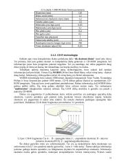 Informacijos saugojimo priemonės 17 puslapis