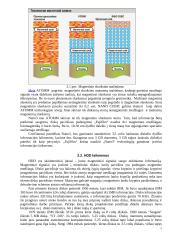 Informacijos saugojimo priemonės 4 puslapis