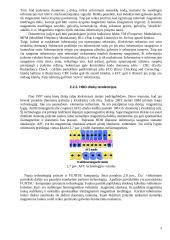 Informacijos saugojimo priemonės 8 puslapis
