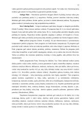 Informacinių technologijų taikymo galimybės dailės pamokose 3–4 klasėse 11 puslapis