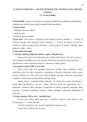 Informacinių technologijų taikymo galimybės dailės pamokose 3–4 klasėse 13 puslapis