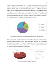 Informacinių technologijų taikymo galimybės dailės pamokose 3–4 klasėse 16 puslapis