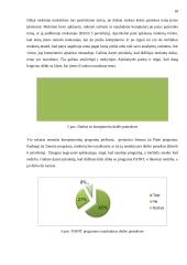 Informacinių technologijų taikymo galimybės dailės pamokose 3–4 klasėse 17 puslapis