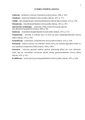 Informacinių technologijų taikymo galimybės dailės pamokose 3–4 klasėse 4 puslapis